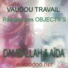 Grand Rituel vaudou pour réaliser des objectifs professionnels