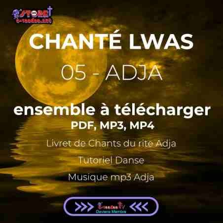 chanté lwas initiation aux rythmes du rite adja pour chanter durant la pleine lune avec le lakou marie laveau