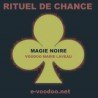 Rituel de Chance en Magie Noire Mami Wata Baron Samedi Papa Legba - Rituel - Vodou - Vaudou - Voodoo - Marie Laveau