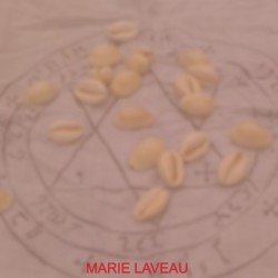 Consultation du FA Vodou Marie Laveau